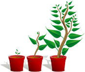 graphic of a plant in three different growing stages
